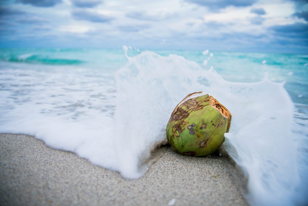 A green coconut at the ocean's edge, with small waves lapping over it. The water is a crystal blue.