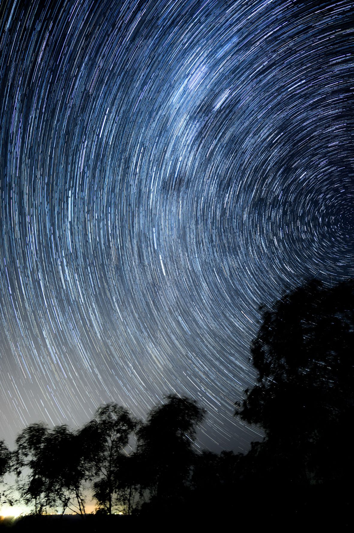 Image by Rory O'Keefe. The photo is taken at night of the night sky. At the bottom of the image are trees in silhouette. Above them the stars in the night aky streak across the image as if they are in motion.